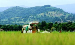 Harvesting Modern Farming Prospect 300X181 1