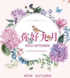 September 271X300 1